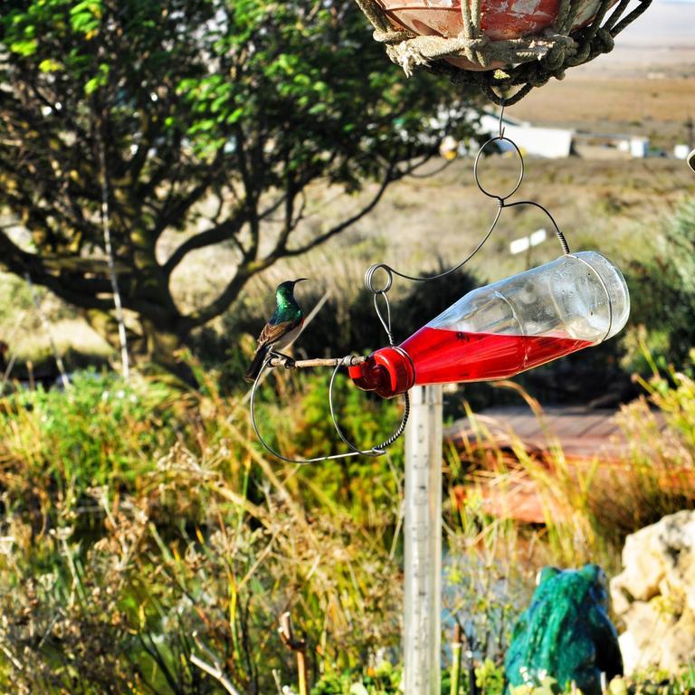 Farr Out Guest House Paternoster Εξωτερικό φωτογραφία